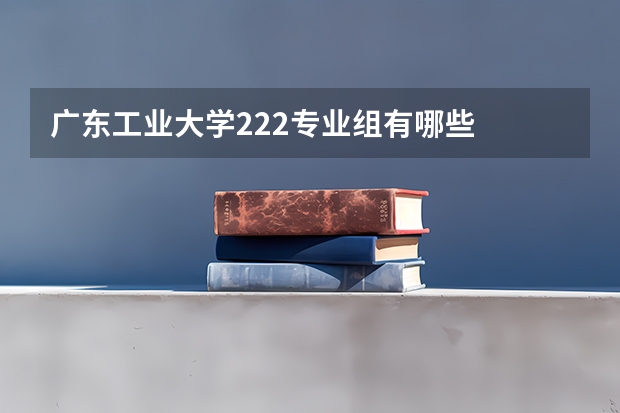 广东工业大学222专业组有哪些