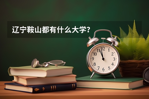 辽宁鞍山都有什么大学？