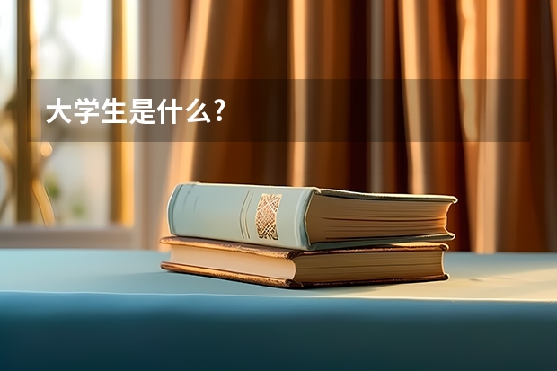 大学生是什么?