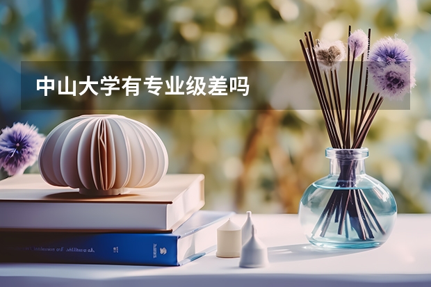 中山大学有专业级差吗
