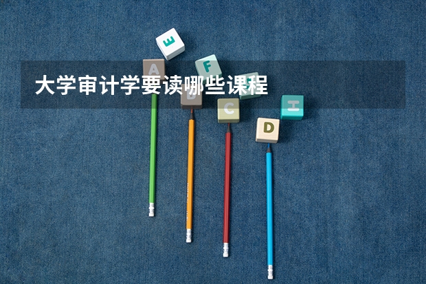 大学审计学要读哪些课程