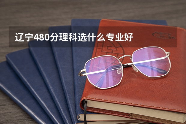 辽宁480分理科选什么专业好