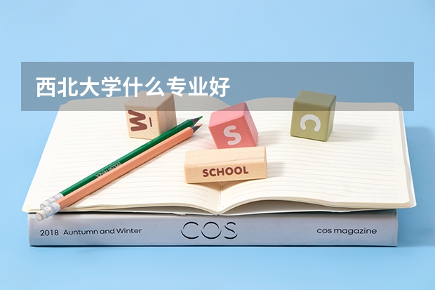 西北大学什么专业好
