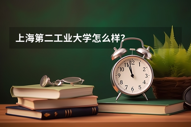 上海第二工业大学怎么样？