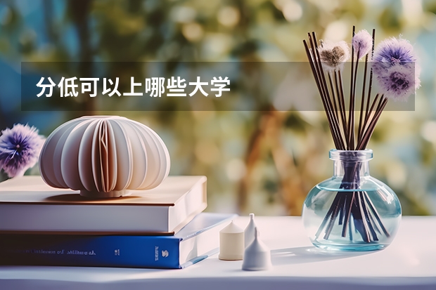 分低可以上哪些大学