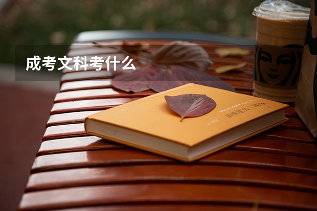 成考文科考什么