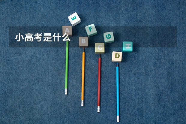 小高考是什么