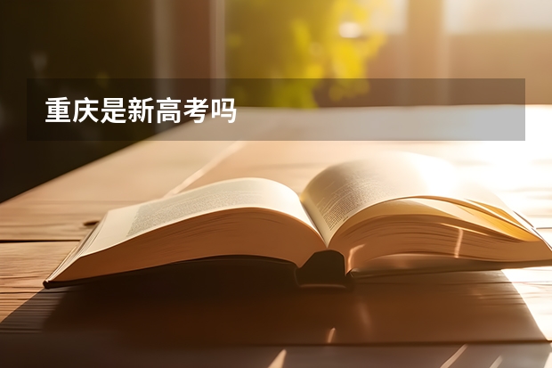 重庆是新高考吗