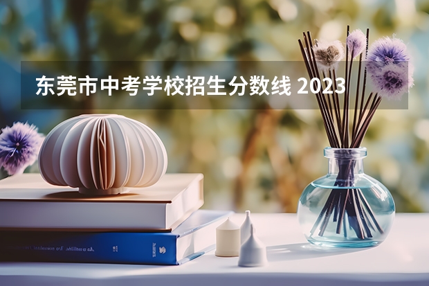 东莞市中考学校招生分数线 2023年东莞中考分数线